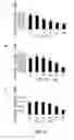 Fig. 06 - Compositions and methods for glucose transport inhibition