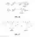 Fig. 11 - Compositions and methods for glucose transport inhibition