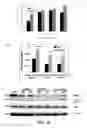 Fig. 12 - Compositions and methods for glucose transport inhibition