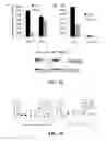 Fig. 13 - Compositions and methods for glucose transport inhibition