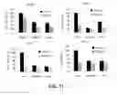 Fig. 14 - Compositions and methods for glucose transport inhibition
