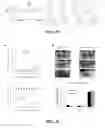 Fig. 19 - Compositions and methods for glucose transport inhibition