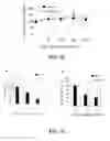 Fig. 22 - Compositions and methods for glucose transport inhibition
