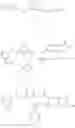 Fig. 29 - Compositions and methods for glucose transport inhibition