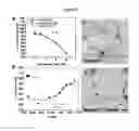 Fig. 03 - Inhibitors of cognitive decline