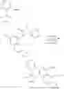 Fig. 221 - IDO inhibitors