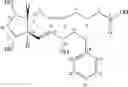 Fig. 23 - Processes for the preparation of prostaglandin amides