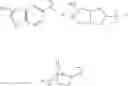 Fig. 08 - Autophagy Inhibitors