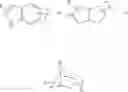 Fig. 09 - Autophagy Inhibitors