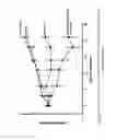Fig. 12 - Chemical compounds