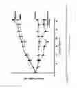 Fig. 13 - Chemical compounds