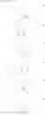 Fig. 41 - Compounds useful for producing an optically active diazabicyclooctane compound