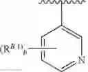 Fig. 100 - Compounds for treatment of diseases of abnormal angiogenesis or aberrant growth factors and uses thereof