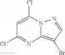 Fig. 12 - Pyrazolopyrimidine compounds