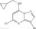 Fig. 13 - Pyrazolopyrimidine compounds