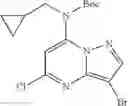 Fig. 15 - Pyrazolopyrimidine compounds