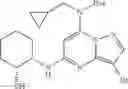 Fig. 18 - Pyrazolopyrimidine compounds