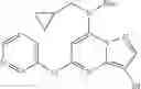 Fig. 19 - Pyrazolopyrimidine compounds