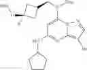 Fig. 20 - Pyrazolopyrimidine compounds