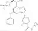 Fig. 23 - Pyrazolopyrimidine compounds