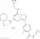 Fig. 24 - Pyrazolopyrimidine compounds