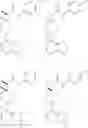 Fig. 284 - Immunoregulatory agents