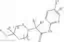 Fig. 290 - Immunoregulatory agents