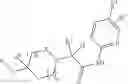 Fig. 291 - Immunoregulatory agents