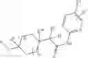 Fig. 295 - Immunoregulatory agents