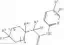 Fig. 300 - Immunoregulatory agents