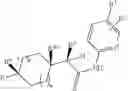 Fig. 303 - Immunoregulatory agents