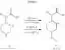 Fig. 12 - Immunoregulatory agents