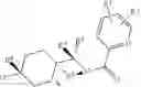 Fig. 273 - Immunoregulatory agents