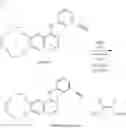 Fig. 11 - Polymorphic forms of icotinib maleate and uses thereof