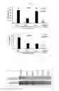 Fig. 08 - Compositions and methods for treating cancer