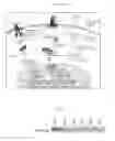 Fig. 13 - Compositions and methods for treating cancer