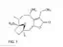 Fig. 02 - Sesquiterpenoid STAT3 inhibitors