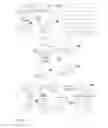 Fig. 36 - Sesquiterpenoid STAT3 inhibitors