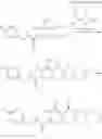 Fig. 93 - SUBSTITUTED CYCLOPENTA[4,5]OXAZOLO[3,2-a]PYRIDO[1,2-d]PYRAZINES AS HIV INTEGRASE INHIBITORS
