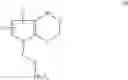 Fig. 06 - Formylpyrrole-based heterocycles for nucleic acid attachment to supports