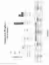 Fig. 18 - CARBON MONOXIDE RELEASING MOLECULES AND USES THEREOF