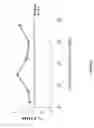 Fig. 25 - CARBON MONOXIDE RELEASING MOLECULES AND USES THEREOF