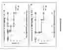 Fig. 35 - CARBON MONOXIDE RELEASING MOLECULES AND USES THEREOF