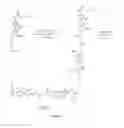 Fig. 05 - Cytidine derivative dimers and applications thereof