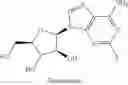 Fig. 08 - NUCLEOSIDE PHOSPHORAMIDATES AND PHOSPHORAMIDITES