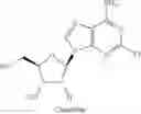 Fig. 09 - NUCLEOSIDE PHOSPHORAMIDATES AND PHOSPHORAMIDITES