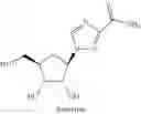 Fig. 16 - NUCLEOSIDE PHOSPHORAMIDATES AND PHOSPHORAMIDITES