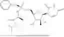 Fig. 20 - NUCLEOSIDE PHOSPHORAMIDATES AND PHOSPHORAMIDITES