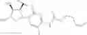 Fig. 23 - NUCLEOSIDE PHOSPHORAMIDATES AND PHOSPHORAMIDITES