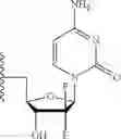 Fig. 24 - NUCLEOSIDE PHOSPHORAMIDATES AND PHOSPHORAMIDITES